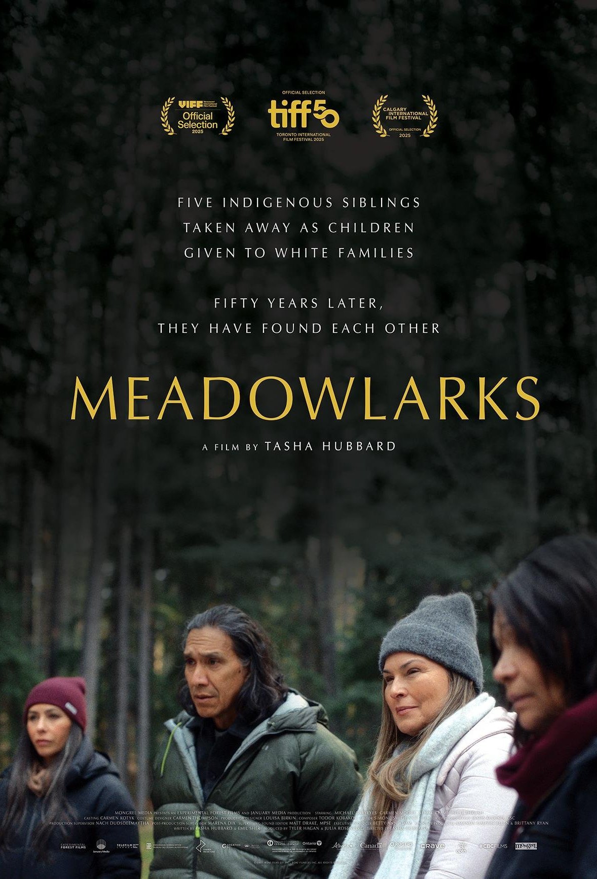 Poster of the movie Meadowlarks