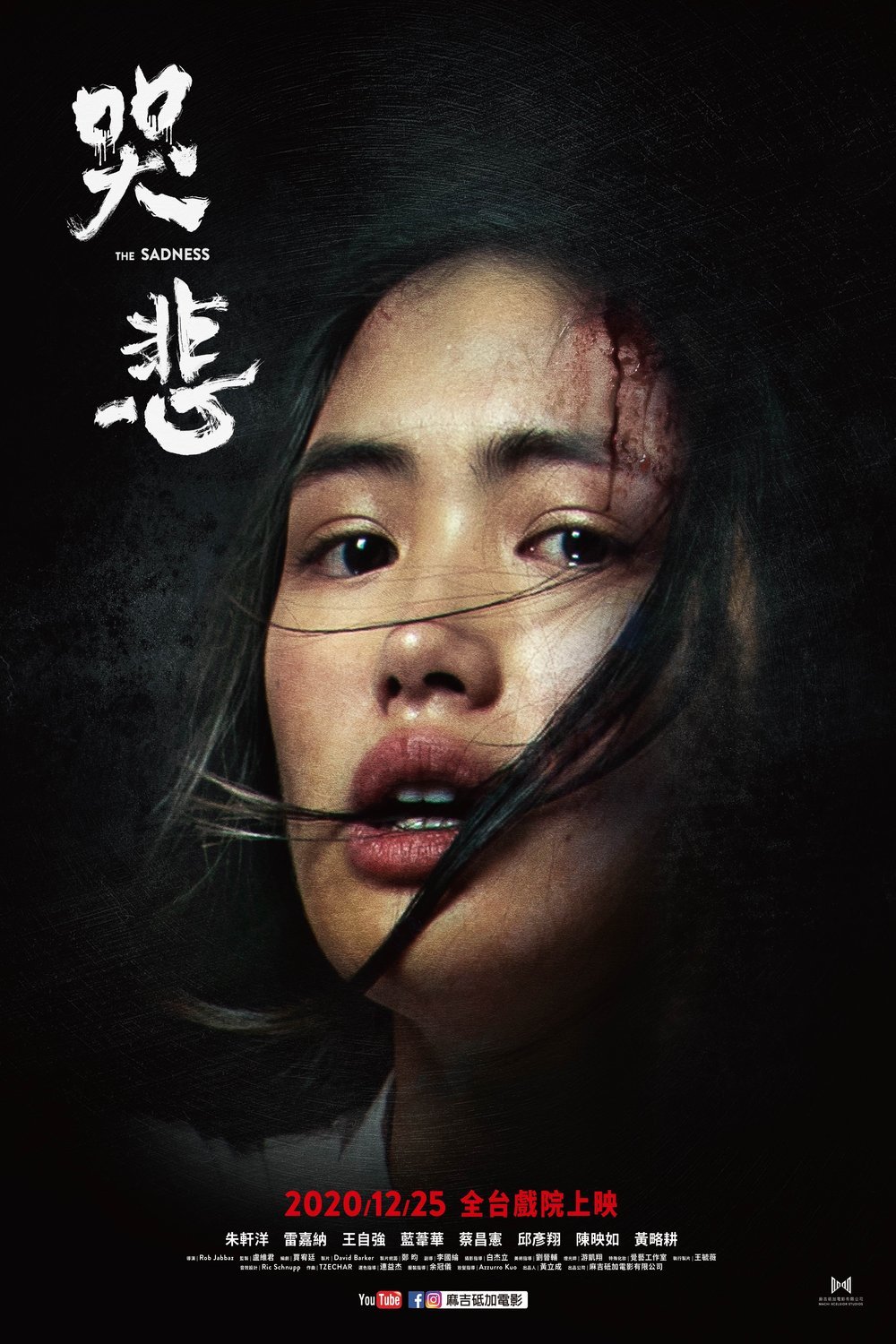 Poster of the movie The Sadness