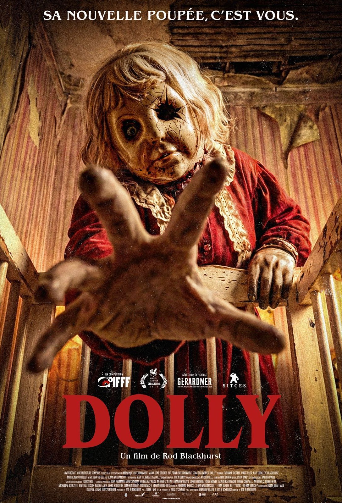L'affiche du film Dolly v.f. [2025]