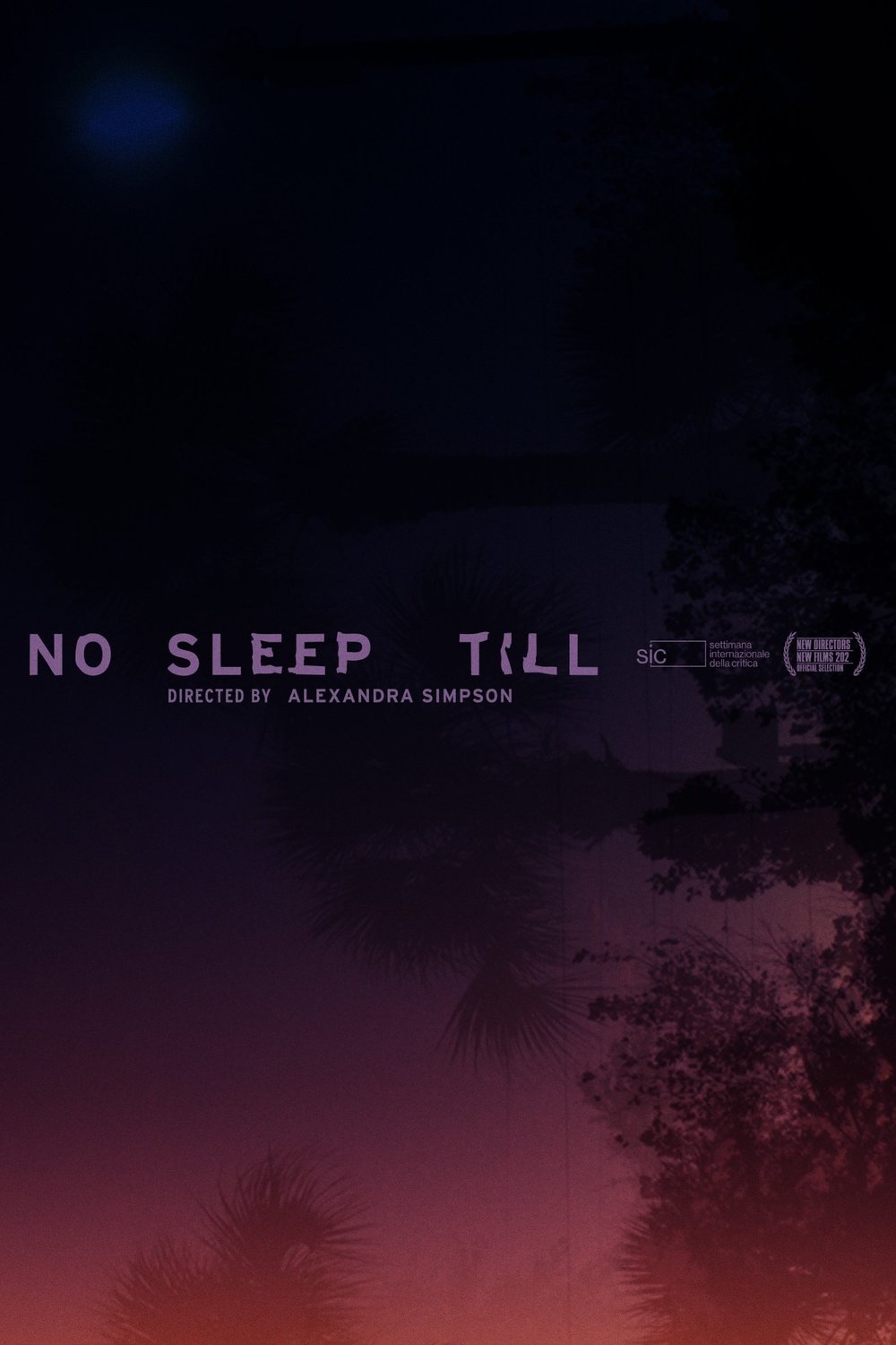 L'affiche du film No Sleep Till [2024]