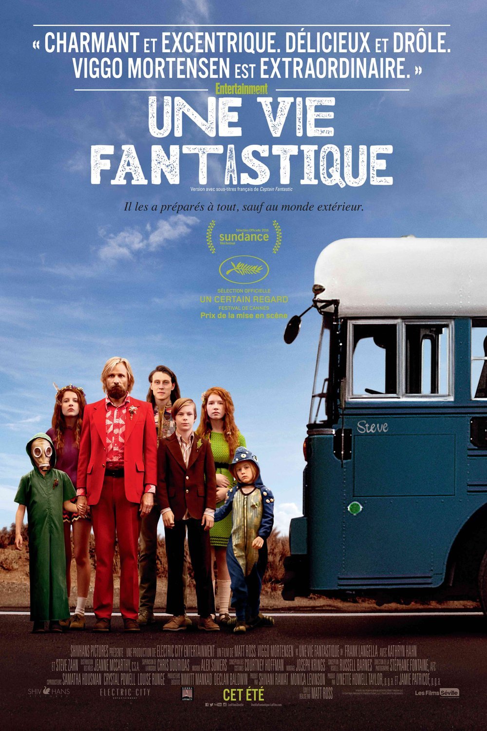 L'affiche du film Une vie fantastique [2016]