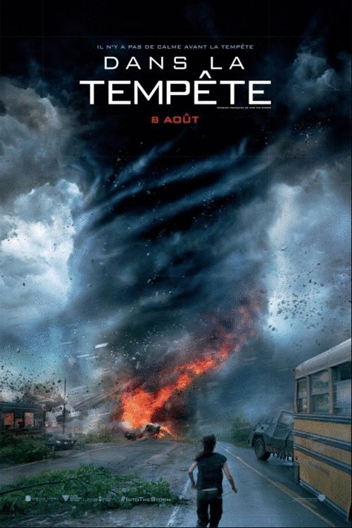 L'affiche du film Dans la tempête [2014]