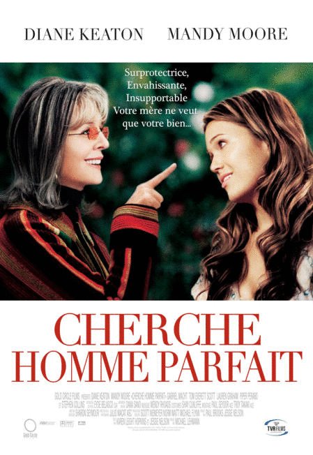 L'affiche du film Cherche homme parfait [2007]