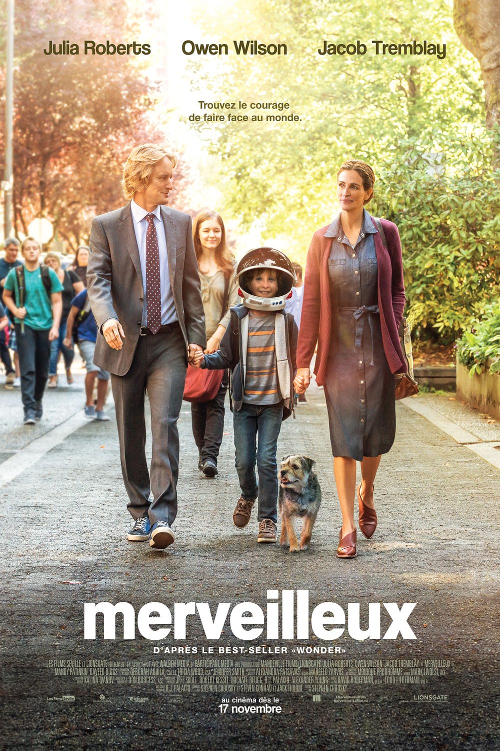 L'affiche du film Merveilleux [2017]