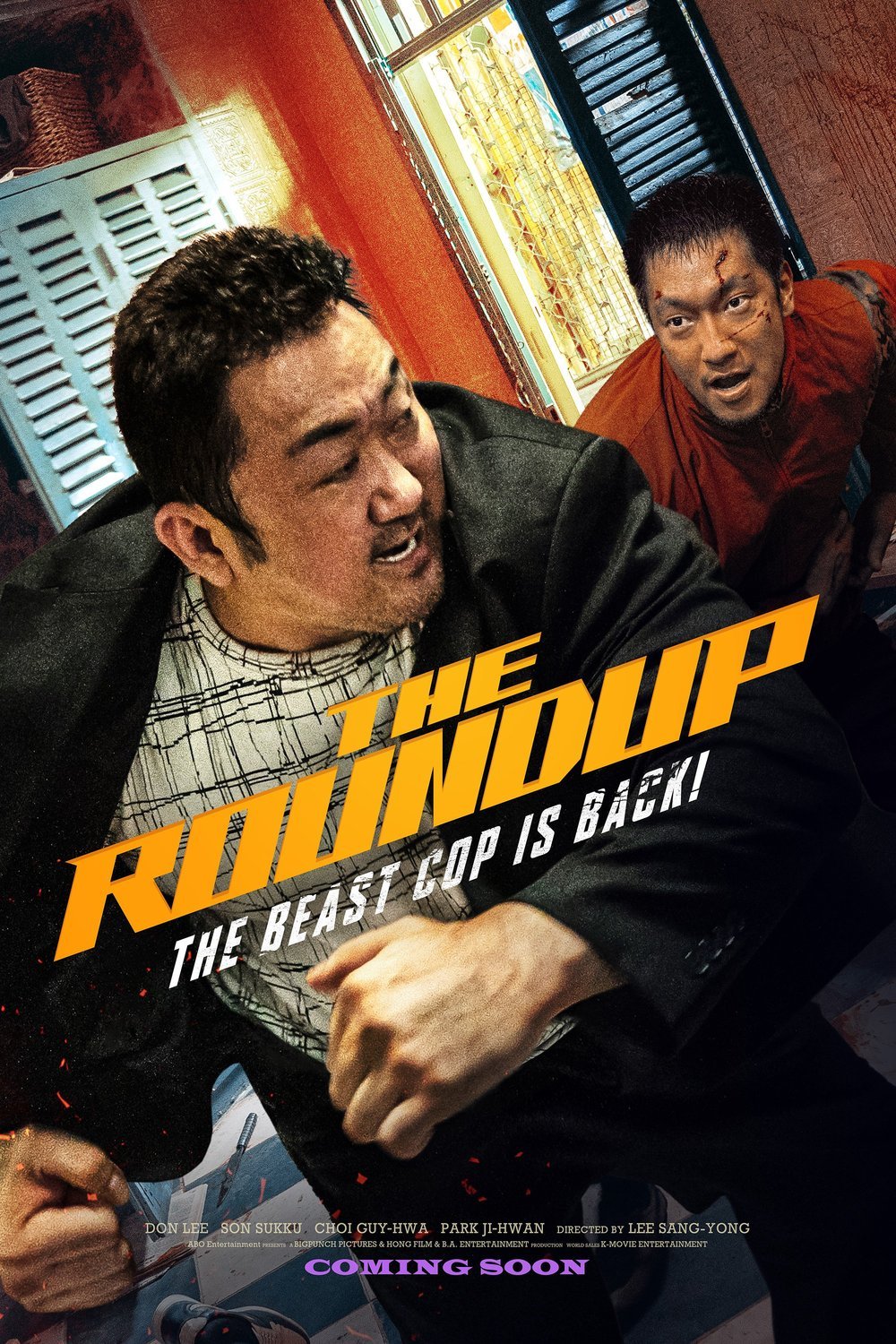 Poster of the movie The Roundup