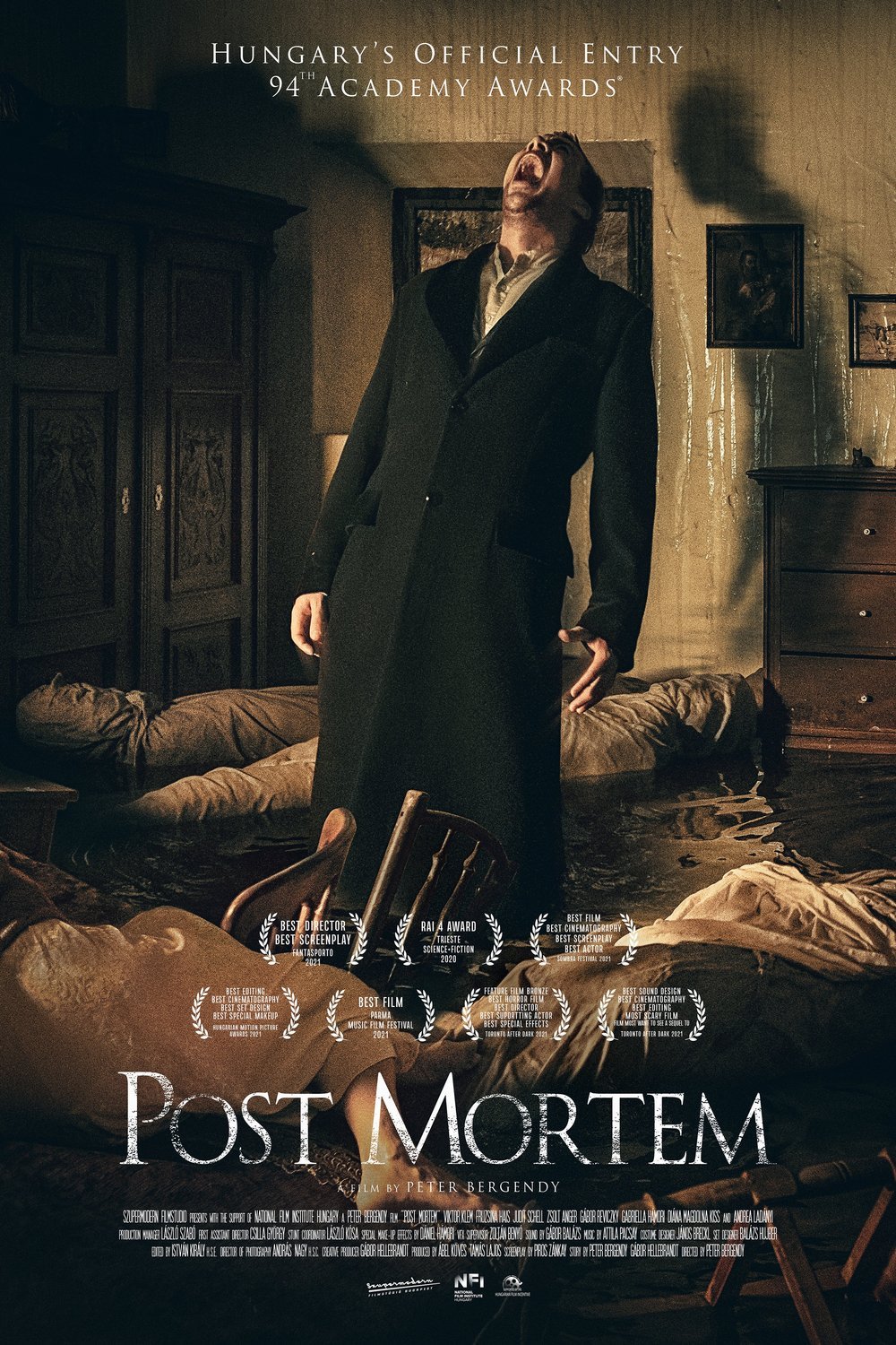 Poster of the movie Post Mortem